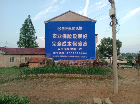 辰溪墙体广告为何受追捧？